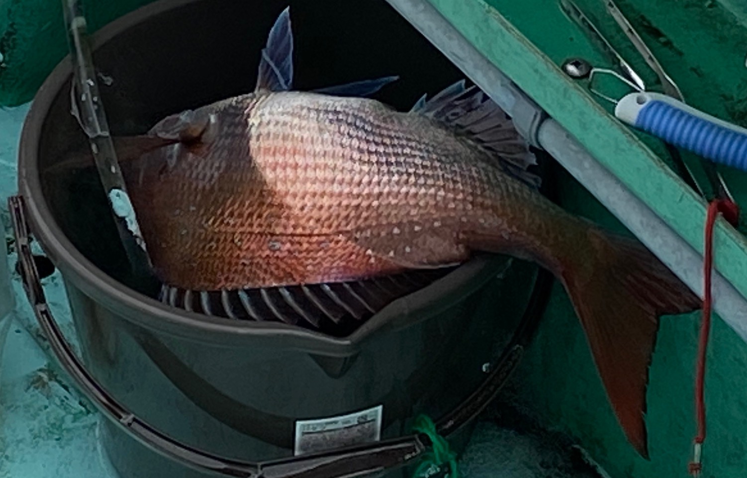 あまさけや丸年03月