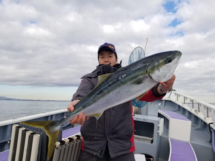 海成丸 落とし込みブリ船