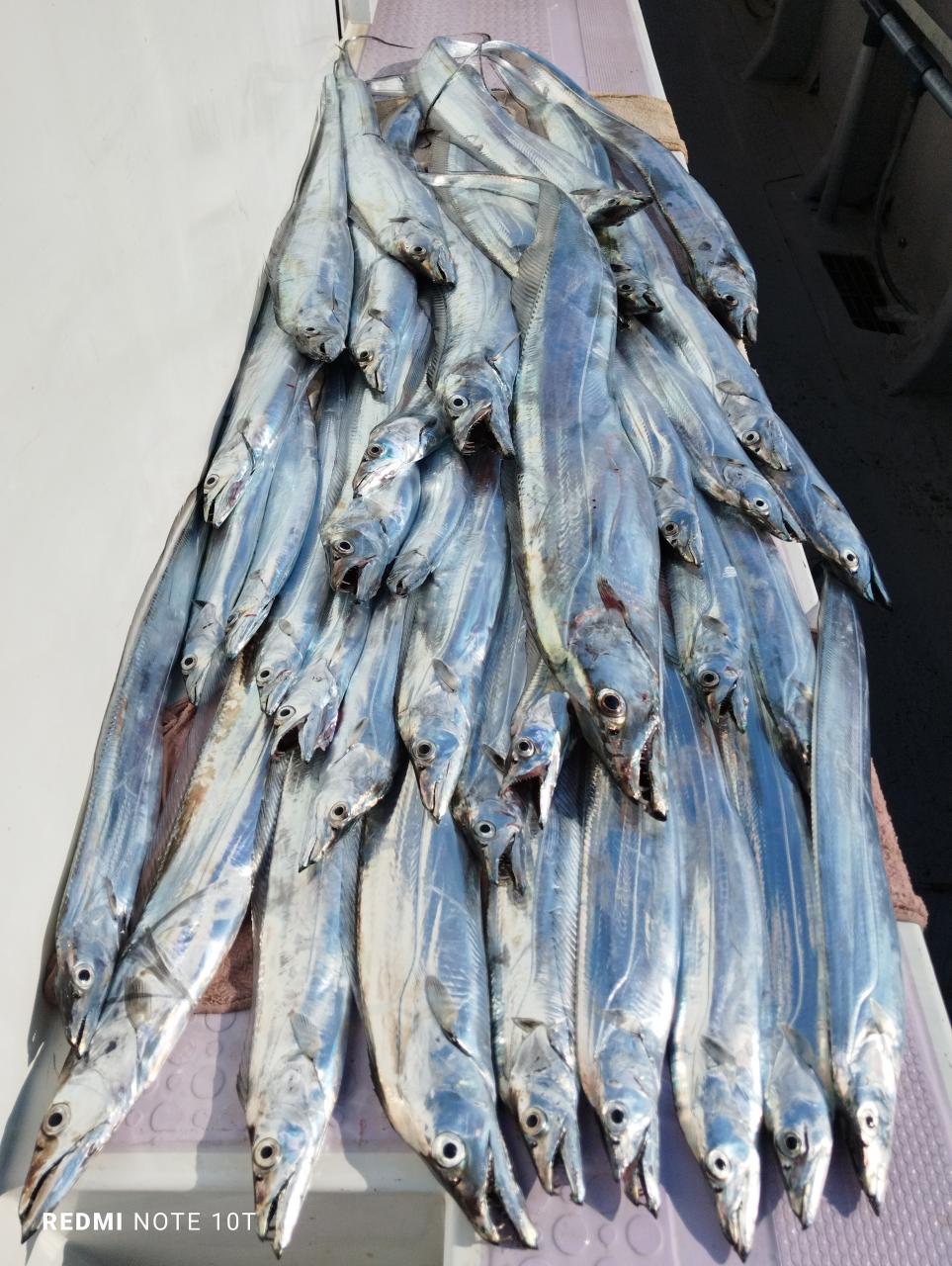 石川丸 タチウオ アジリレー船