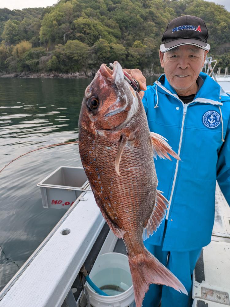 静岡 久料 魚磯丸｜4/13午前＆午後マダイ