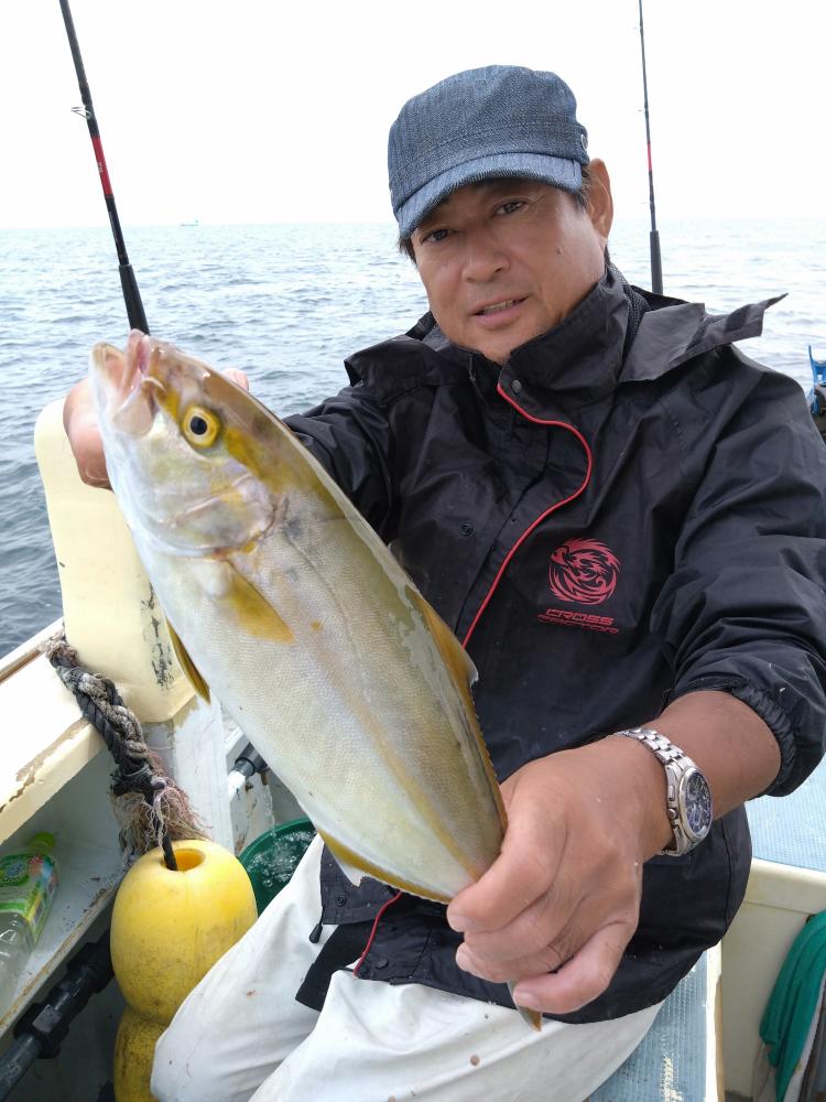 1788593693-5-9491.jpg