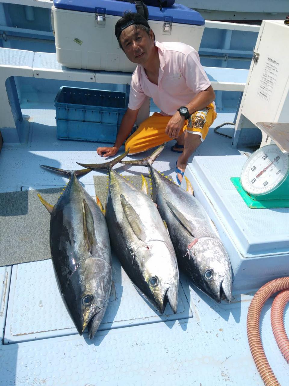 妙法丸 キハダマグロ