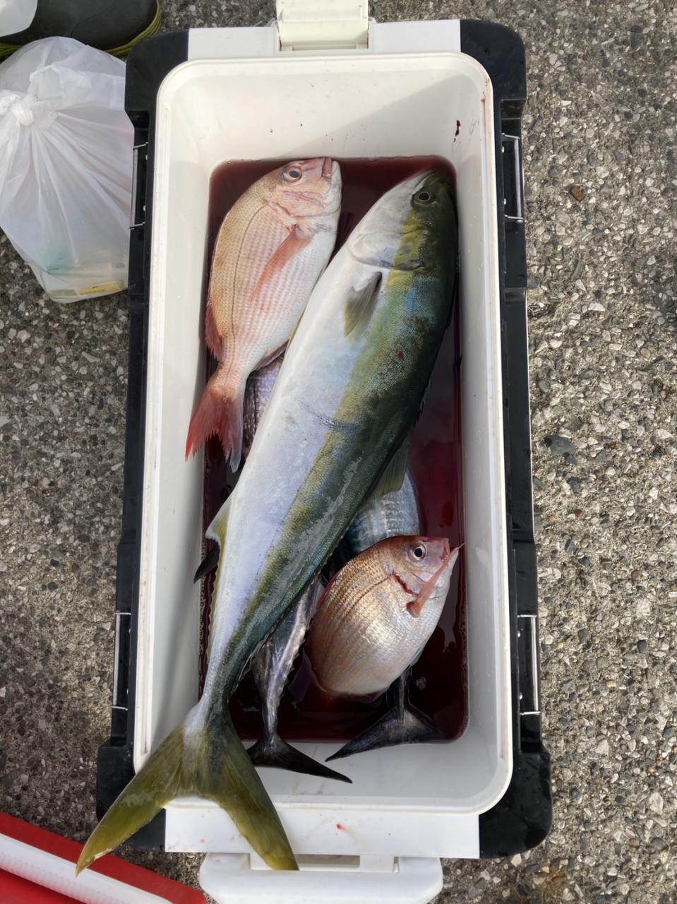 鈴米丸｜11月14日の釣果