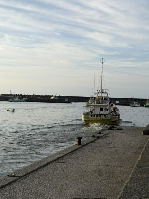 PD2-1787356261-2-967.jpg