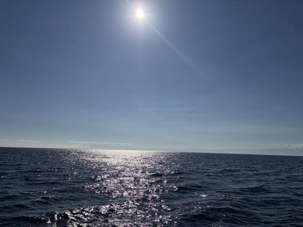 PD2-1790833561-2-384.jpg